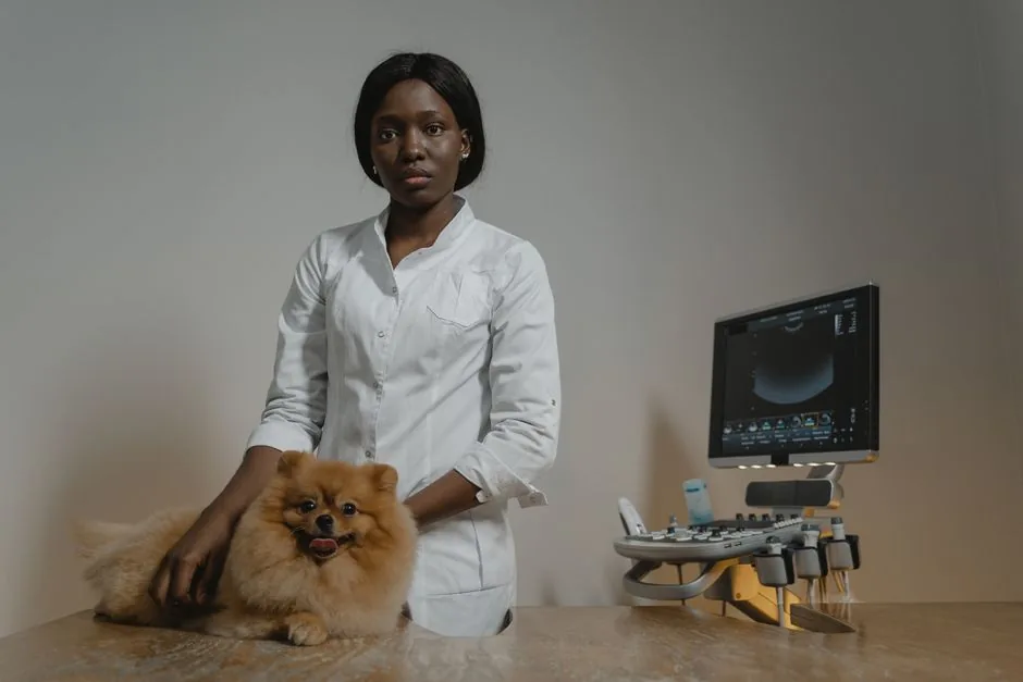 Ridgeways Veterinary Clinic — featured photo 1 of 1