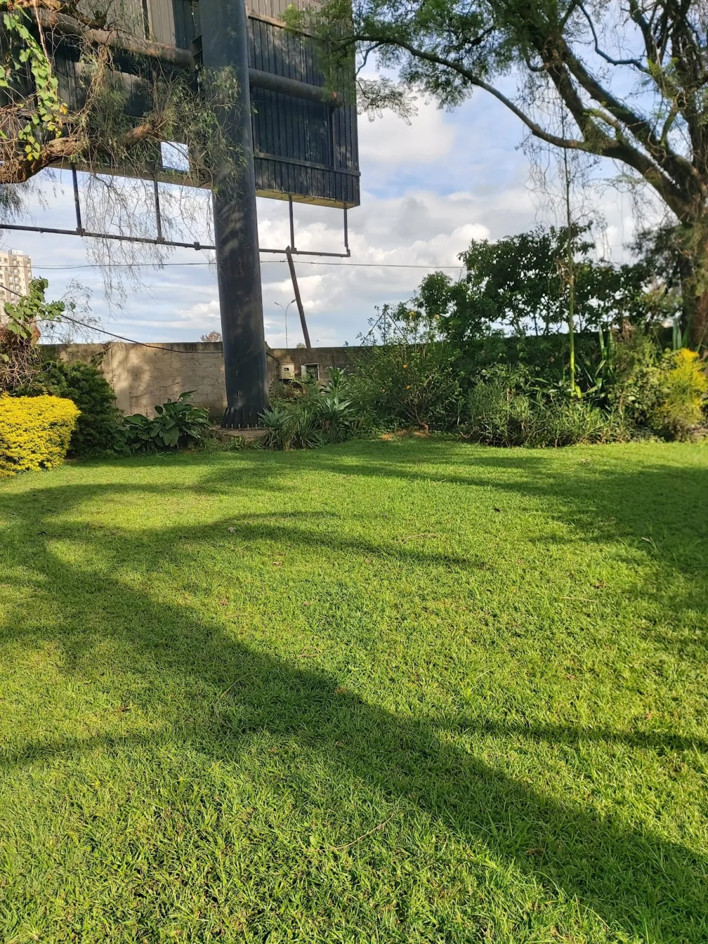 Kingdom Gardens — featured photo 1 of 1