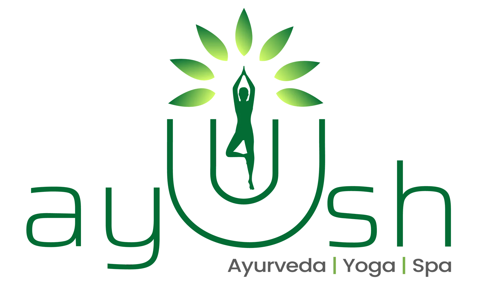 Ayush Wellness Spa
